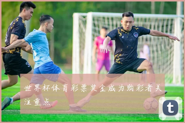 世界杯体育彩票奖金成为购彩者关注重点