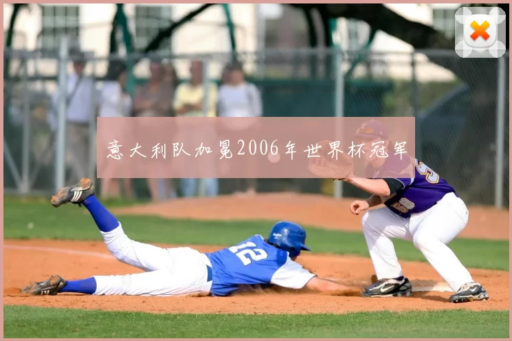 意大利队加冕2006年世界杯冠军