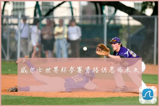 威尔士世界杯参赛资格仍悬而未决