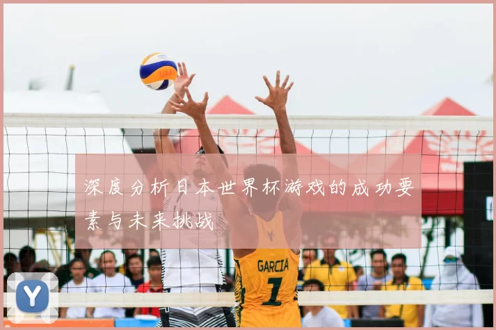 深度分析日本世界杯游戏的成功要素与未来挑战