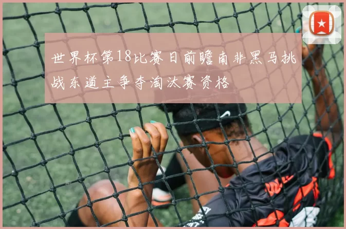 世界杯第18比赛日前瞻南非黑马挑战东道主争夺淘汰赛资格