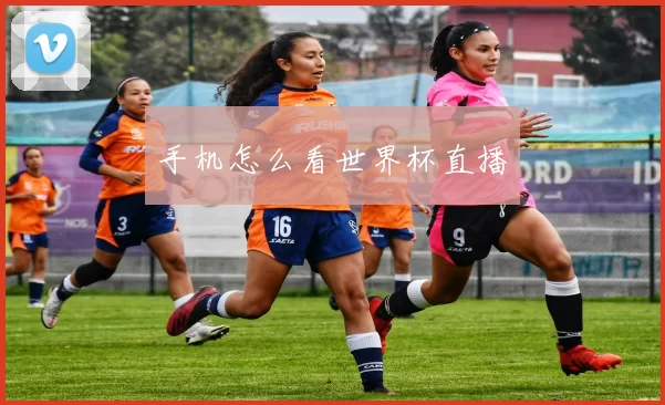 手机怎么看世界杯直播