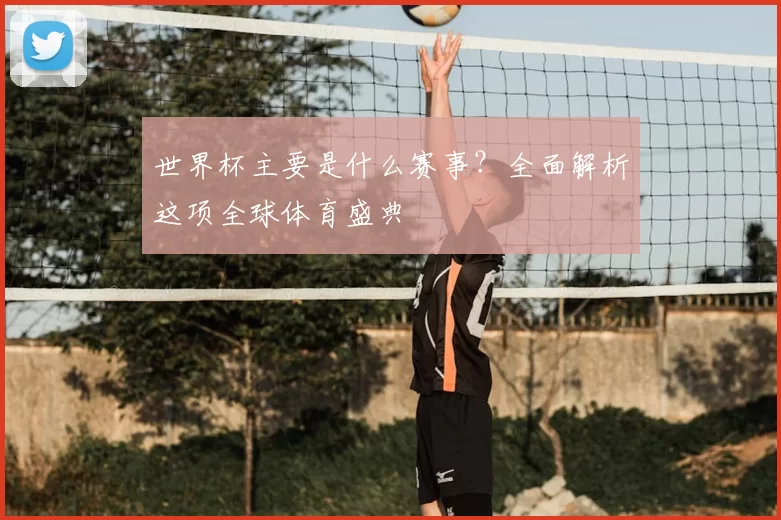 世界杯主要是什么赛事？全面解析这项全球体育盛典