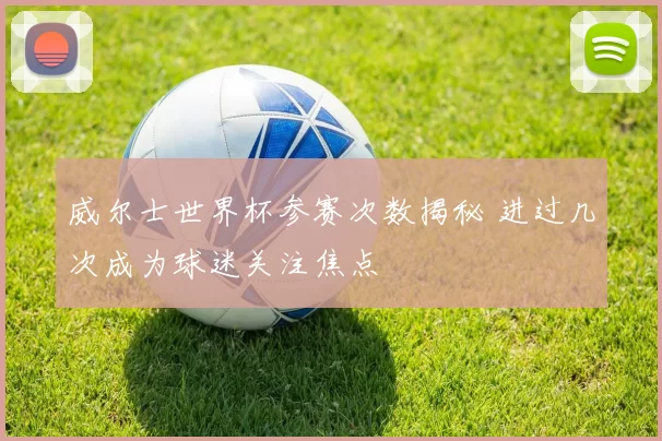 威尔士世界杯参赛次数揭秘 进过几次成为球迷关注焦点