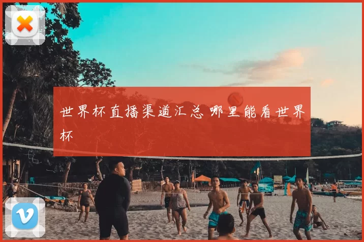 世界杯直播渠道汇总 哪里能看世界杯