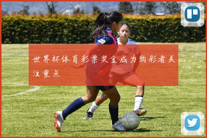 世界杯体育彩票奖金成为购彩者关注重点