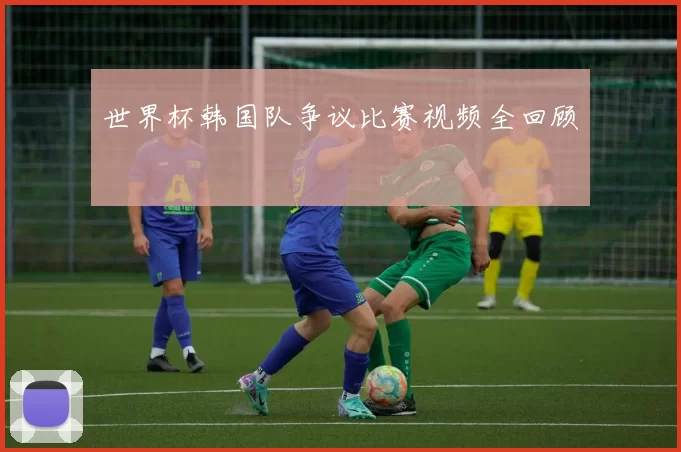 世界杯韩国队争议比赛视频全回顾