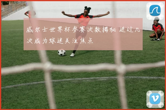 威尔士世界杯参赛次数揭秘 进过几次成为球迷关注焦点