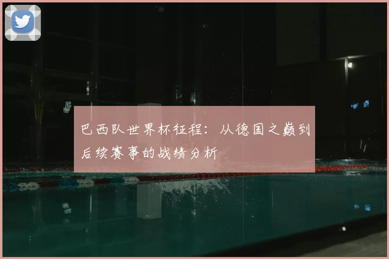 巴西队世界杯征程:从德国之巅到后续赛事的战绩分析