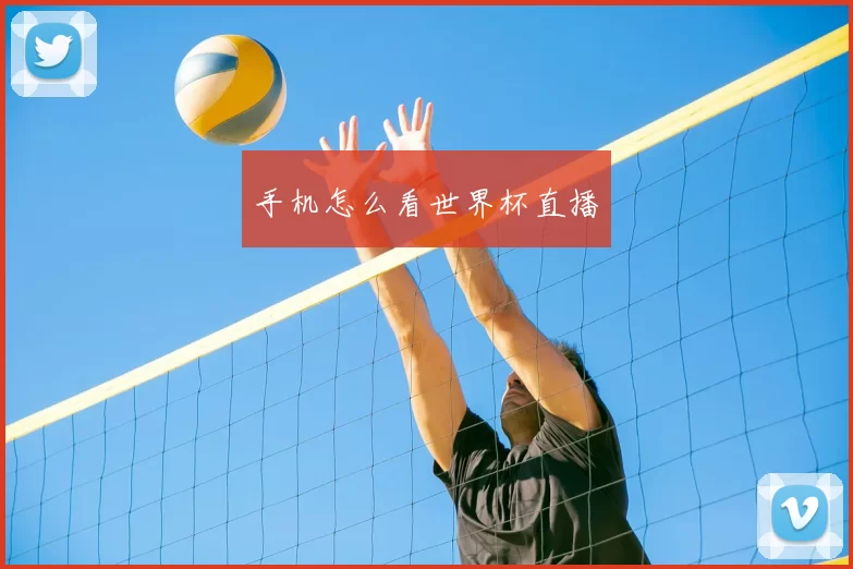 手机怎么看世界杯直播