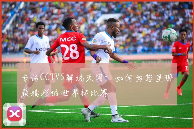 专访CCTV5解说天团：如何为您呈现最精彩的世界杯比赛